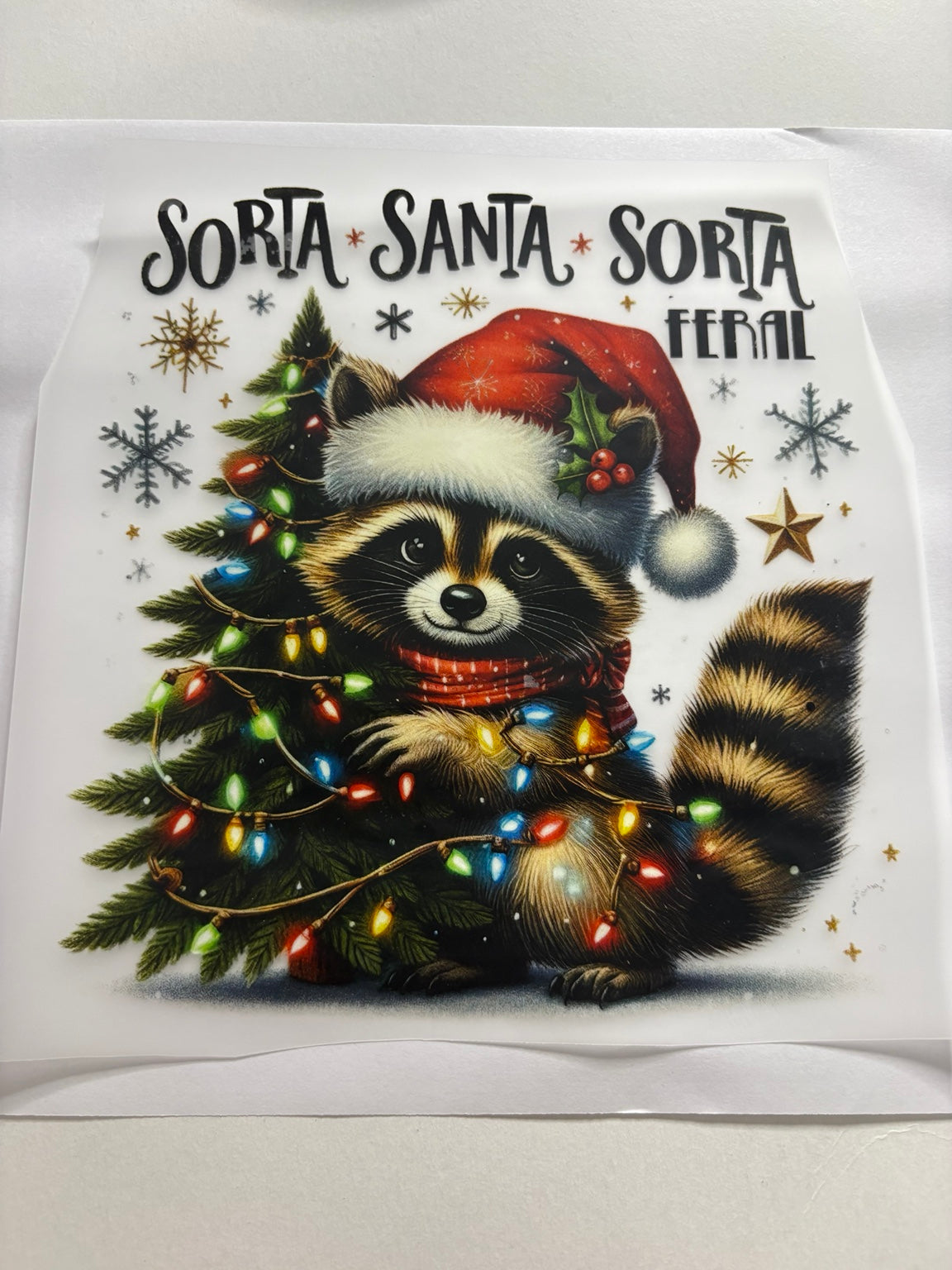 Sorta Santa Sorta Feral Christmas Raccoon
