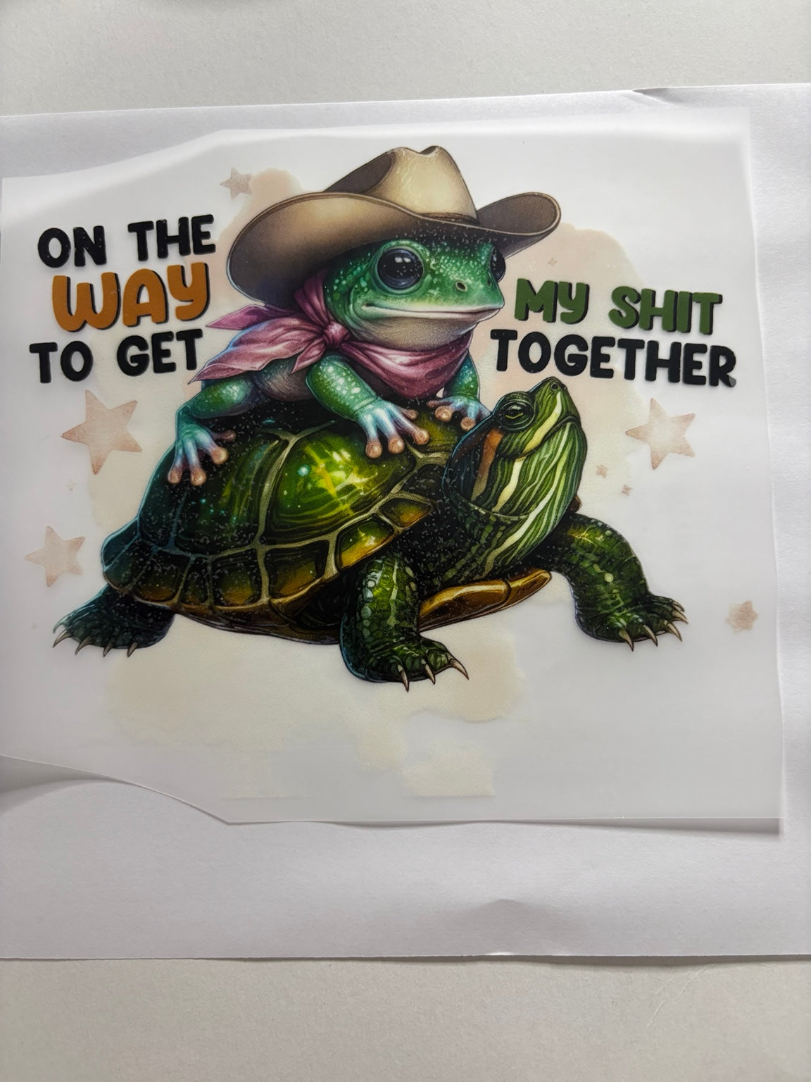 On the Way to Get My Shit Together Frog and Turtle