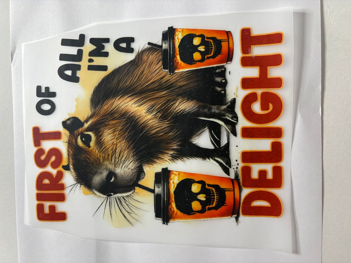 First of All I'm a Delight Capybara