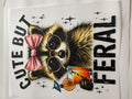 Cute But Feral Raccoon