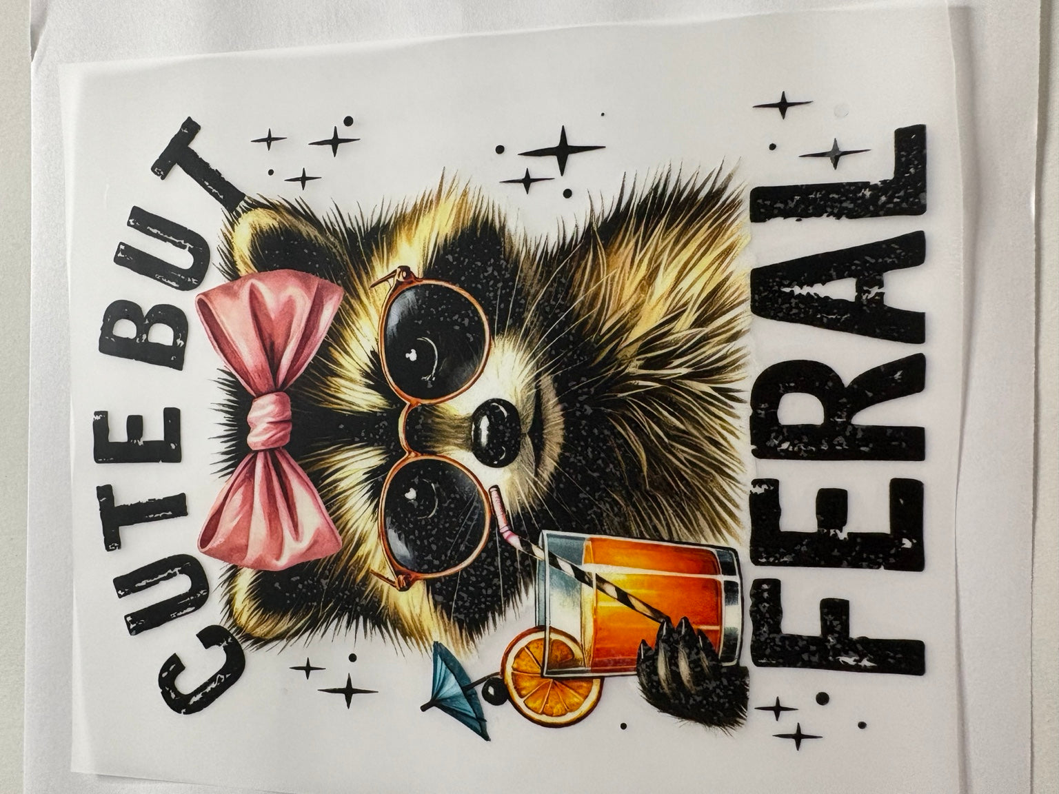 Cute But Feral Raccoon